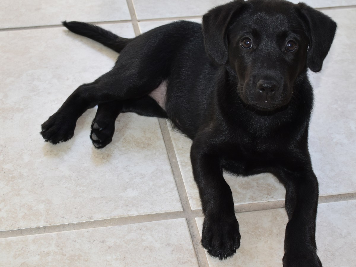 Ein neues Familienmitglied aus&nbsp;Guadalajara