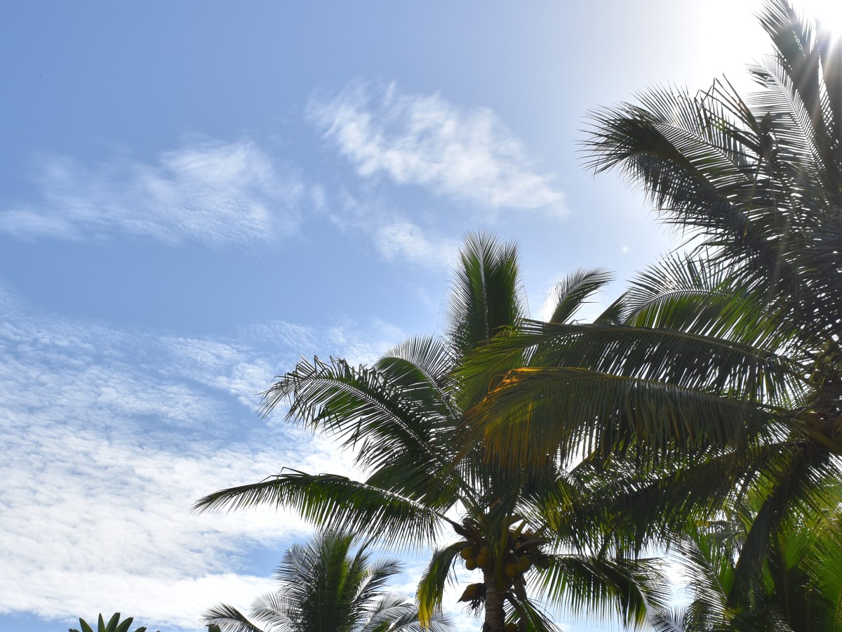 Sommerurlaub Nayarit