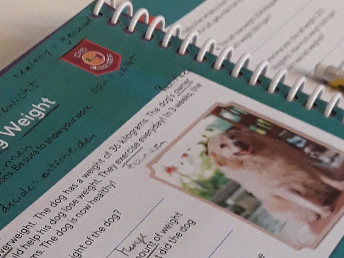 Kinder erlernen eine neue Sprache im Vorbeigehen… oder?!