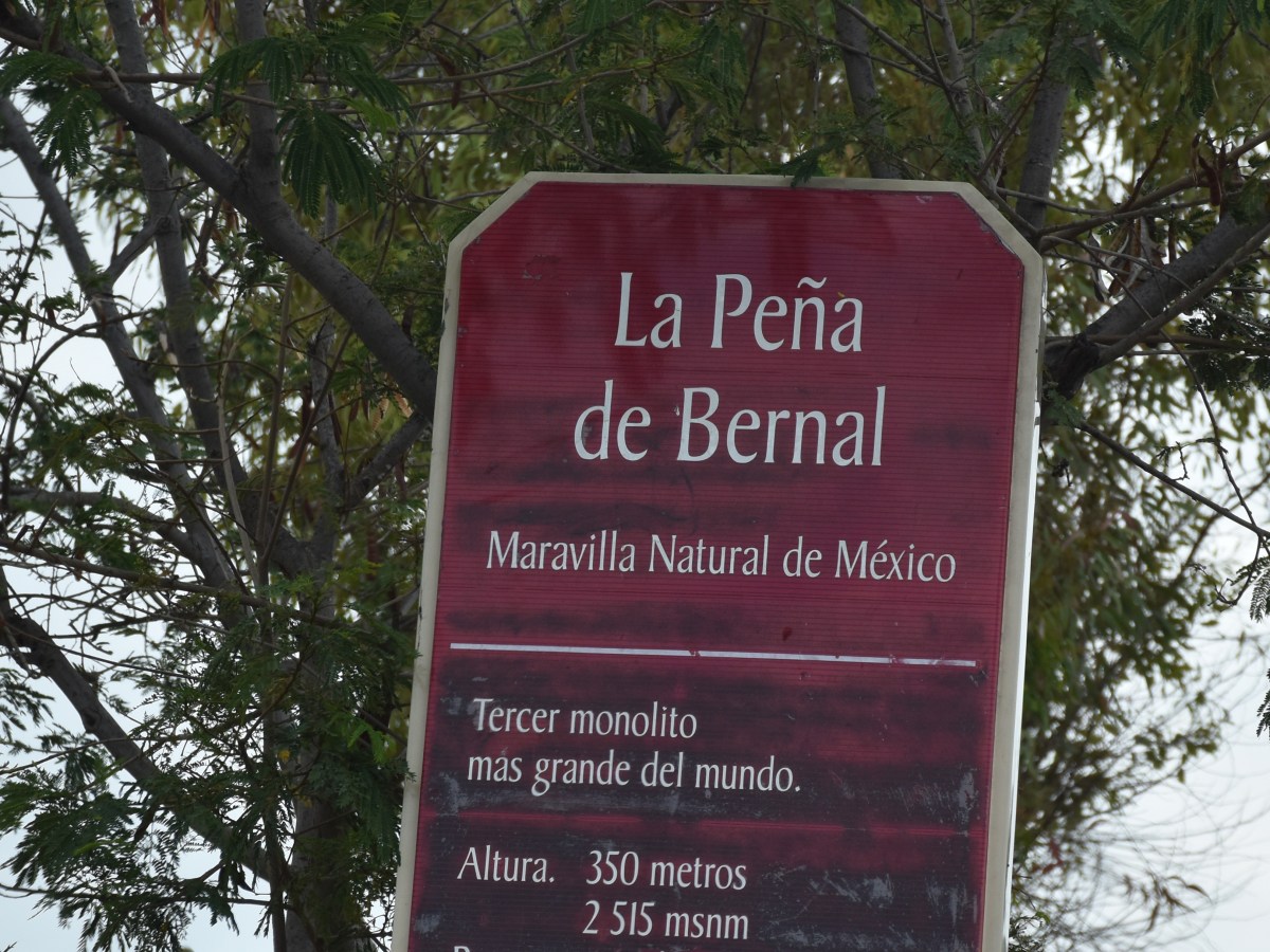 Bernal 2019