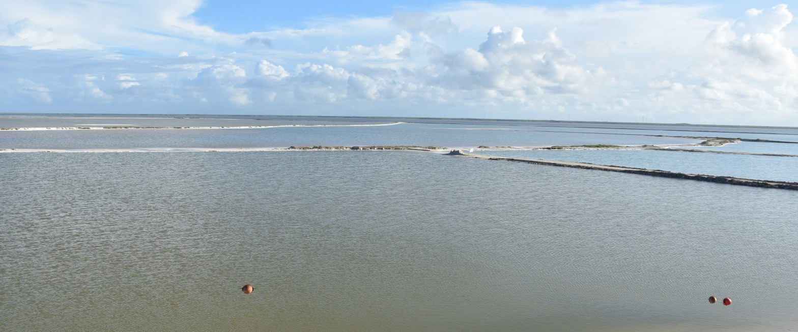 Las Coloradas – die rosa&nbsp;Lagunen