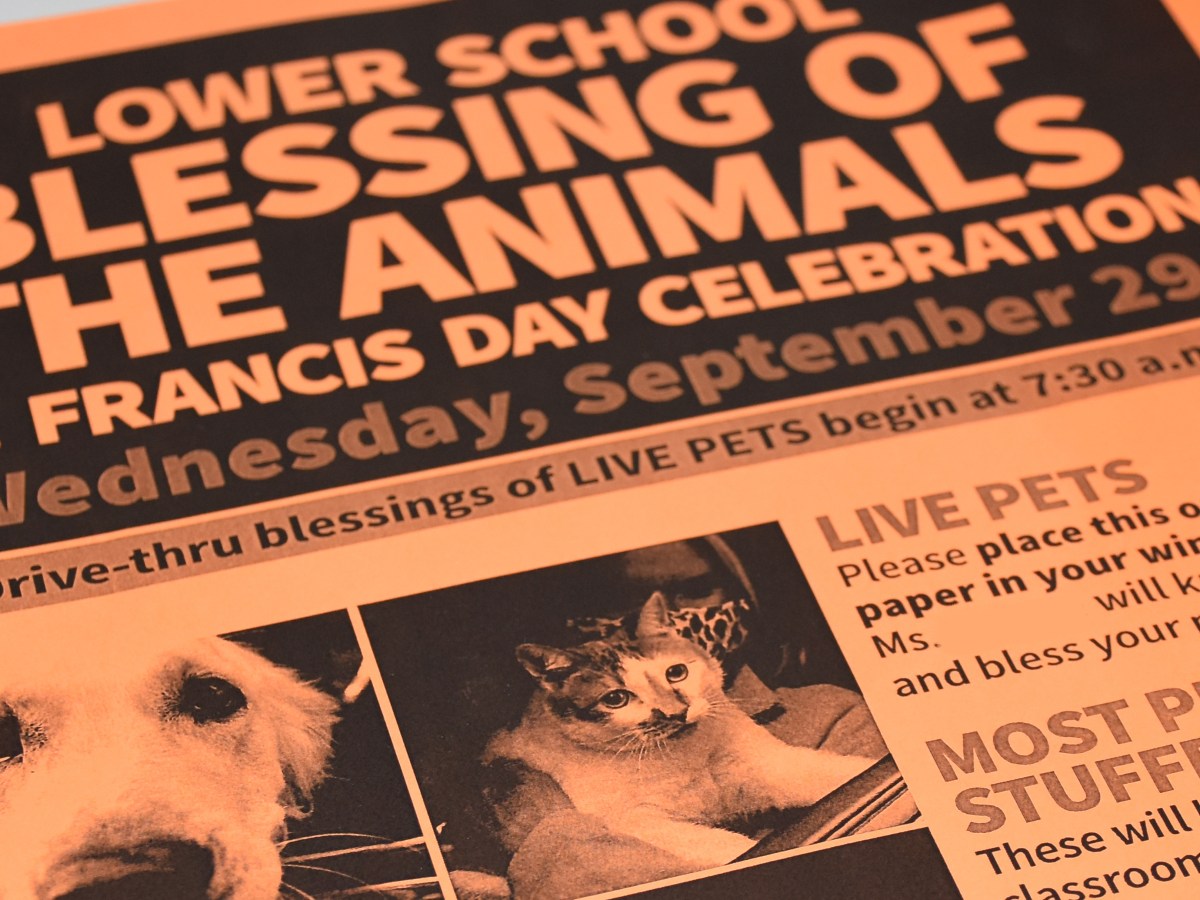 Saint Francis day – Die Segnung der&nbsp;Tiere