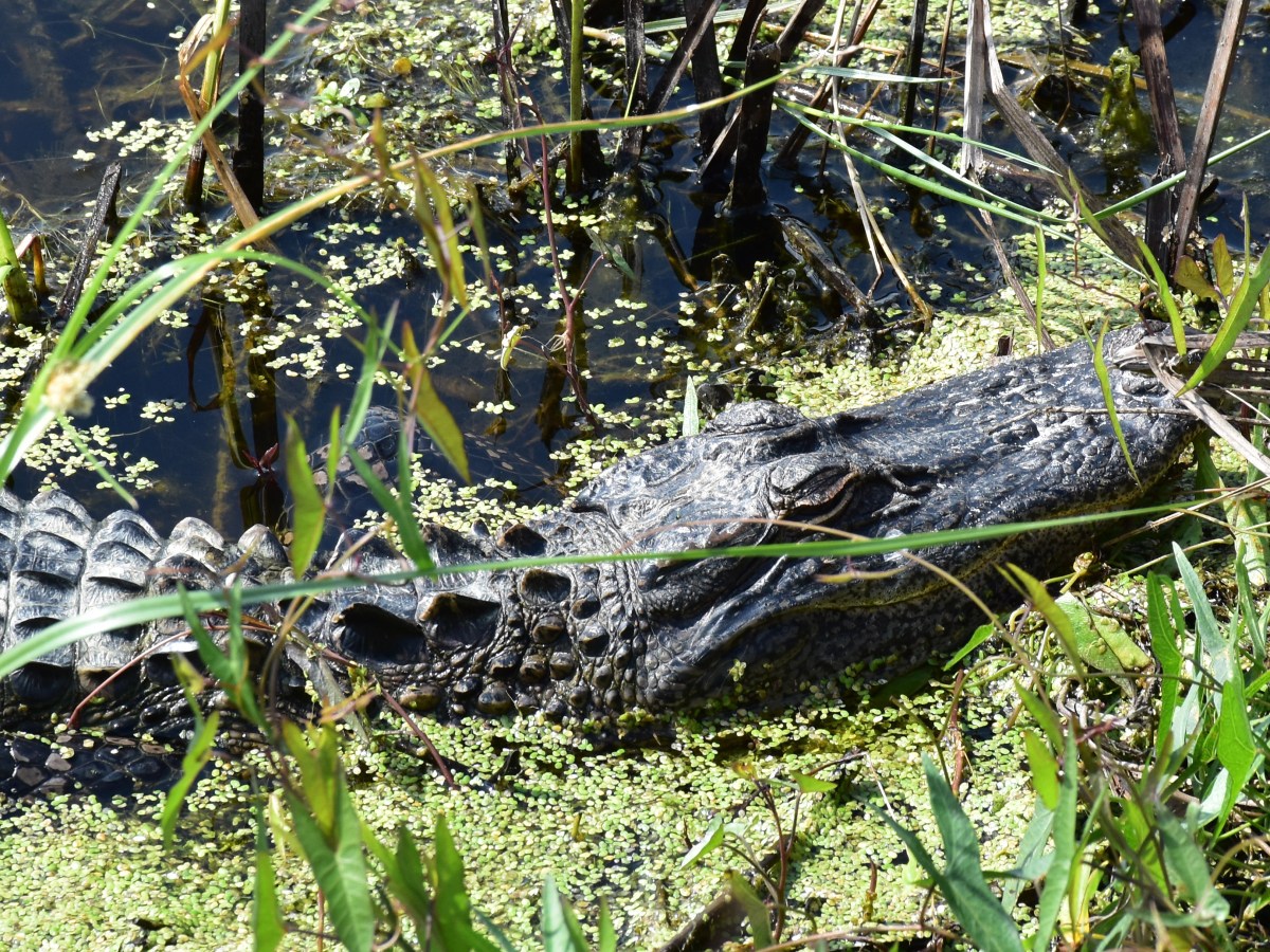 Georgetown & State&nbsp;Parks